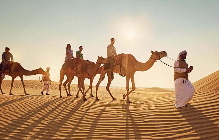 How to Find the Best Abu Dhabi Desert Safari