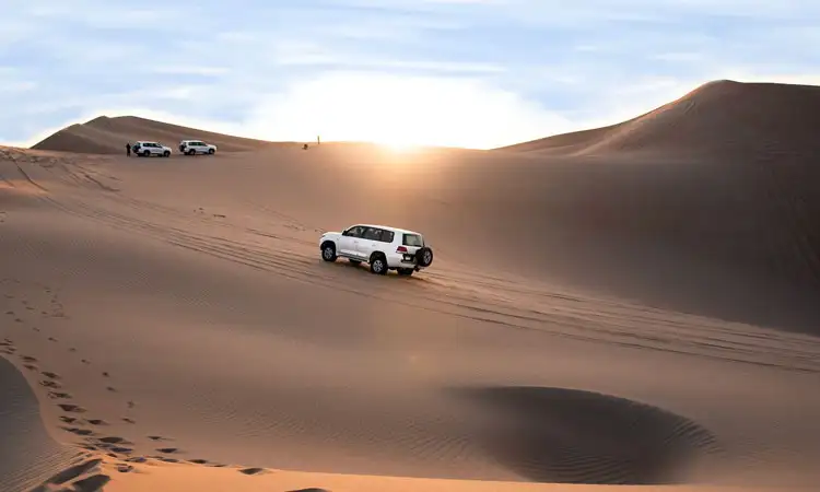 What to Expect on a Morning Desert Safari in Abu Dhabi What to Expect on a Morning Desert Safari in Abu Dhabi