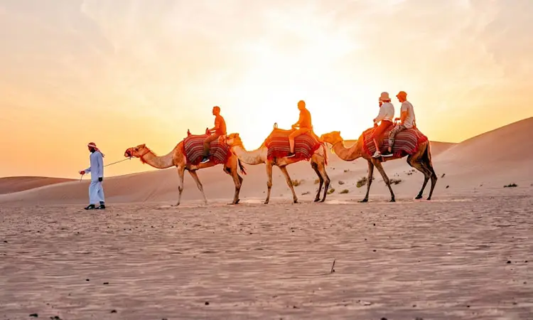 Sunrise Camel Trekking Abu Dhabi Experience: Everything You Need to Know Before You Go