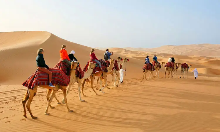 What Is Camel Trekking in Abu Dhabi Desert? 