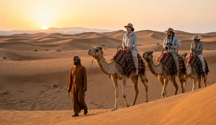 Camel caravan led by a guide moves across golden sand dunes at sunset in the Abu Dhabi desert.