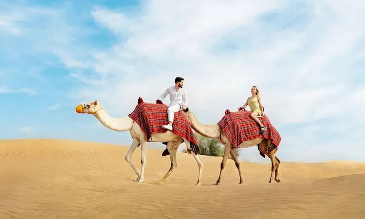 What to Wear for Camel Ride in Desert: Complete Outfit Guide for Comfort and Safety