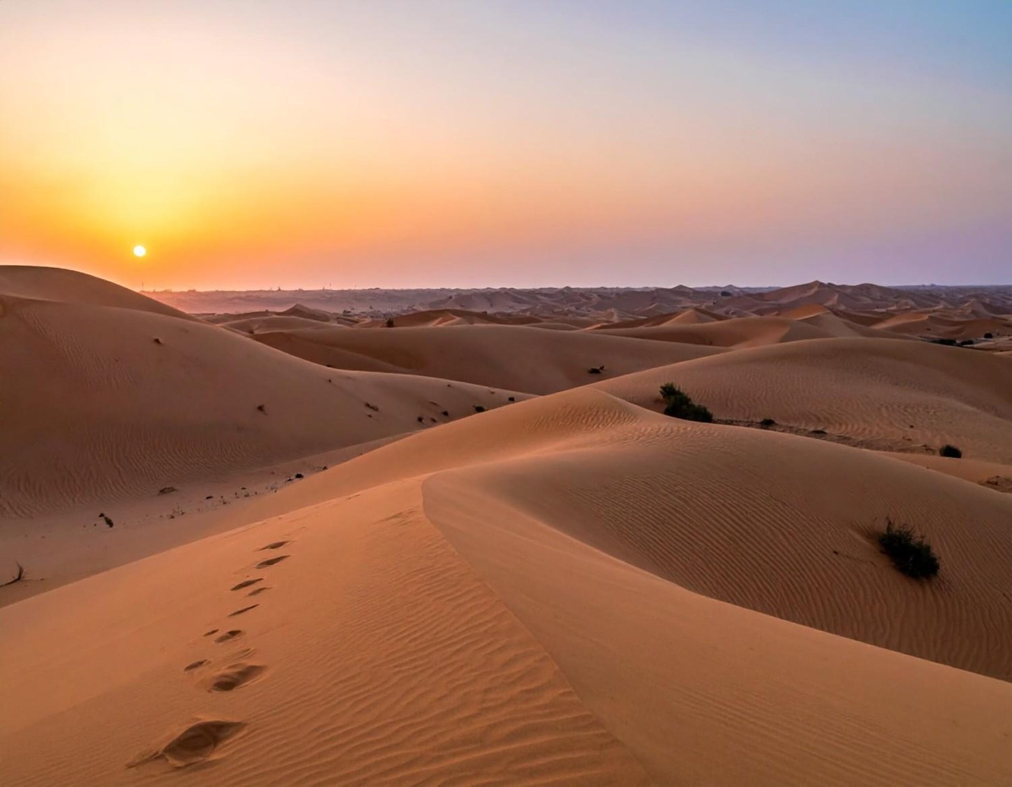 Golden dunes glowing under an orange and pink sunset in the Abu Dhabi desert, creating a calm and magical evening safari atmosphere.
