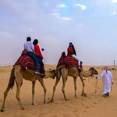 Camel Trekking Abu Dhabi