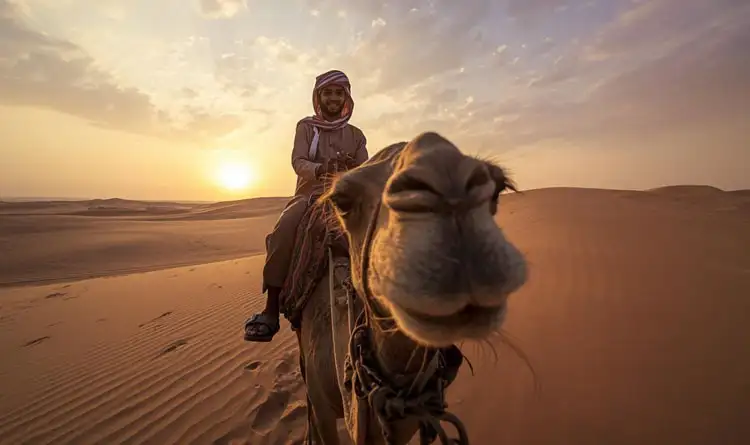 A serene camel ride at sunset through the vast desert in Abu Dhabi, capturing the peaceful essence of the Overnight Desert Safari Abu Dhabi.